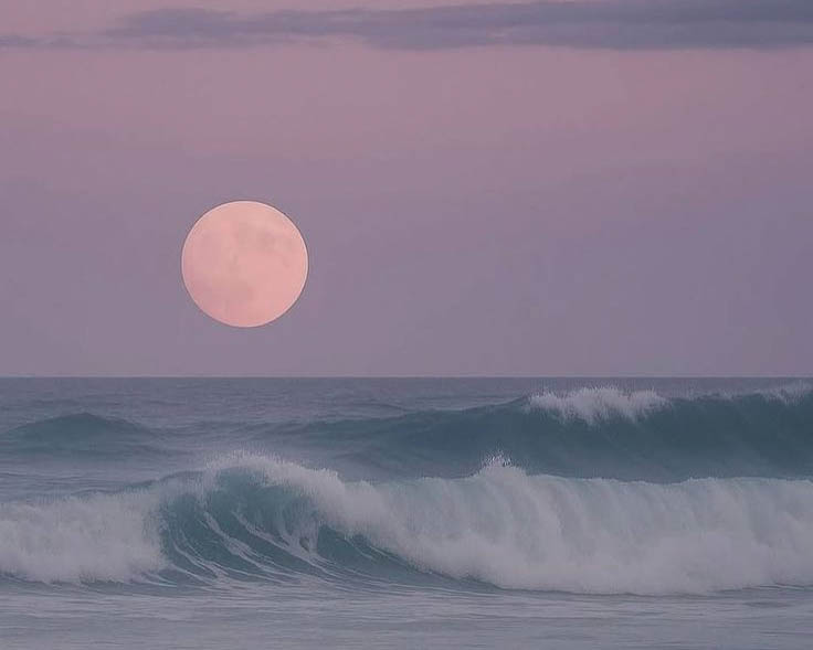 rise up - moon home wide